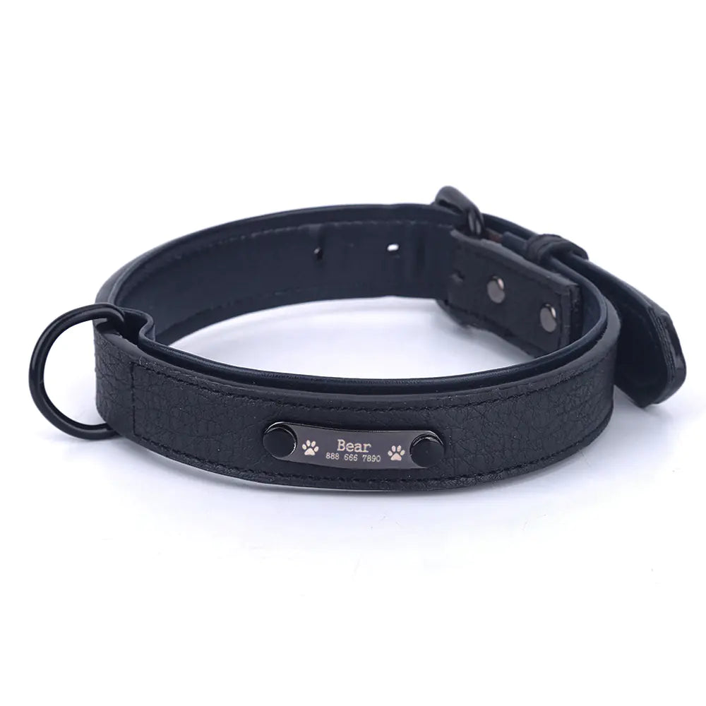 SPS Custom Engraved Leather Dog Collar