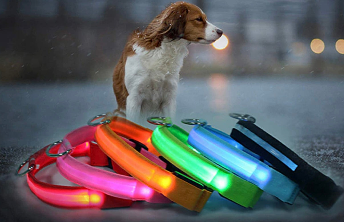 SPS GlowGuard LED Adjustable Dog Collar