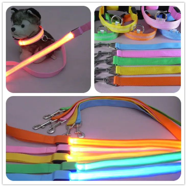 SPS BrightPaw LED Dog Leash