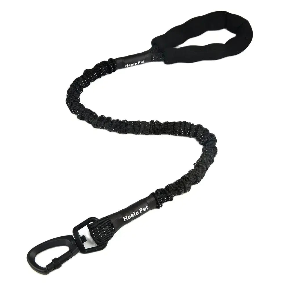 SPS BouncePaw Comfort Leash