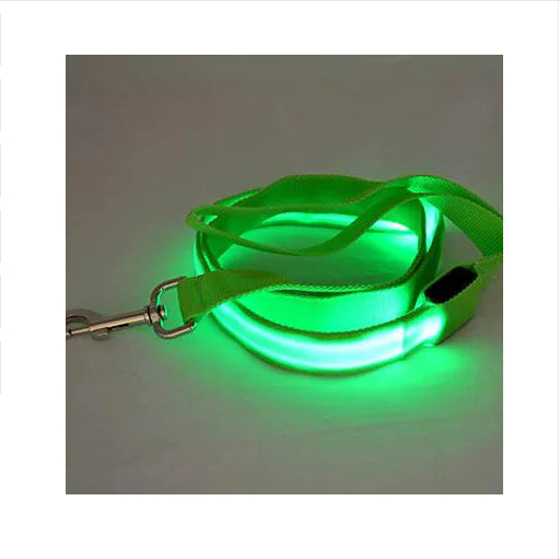 SPS BrightPaw LED Dog Leash