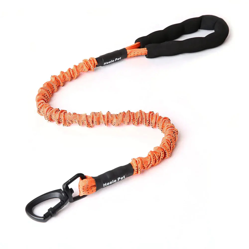 SPS BouncePaw Comfort Leash