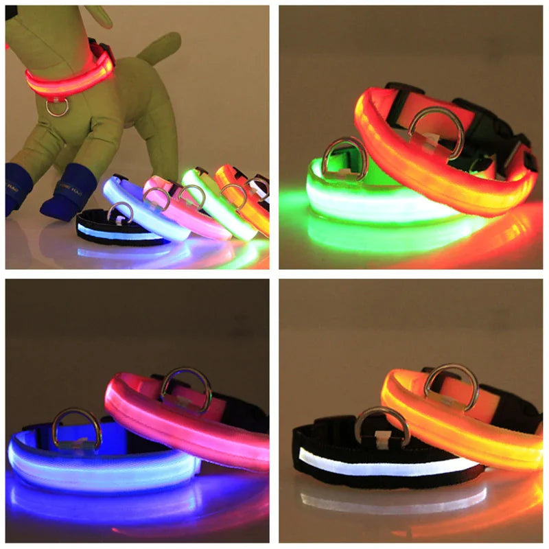 SPS GlowGuard LED Adjustable Dog Collar