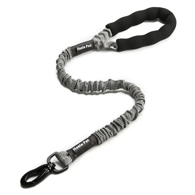SPS BouncePaw Comfort Leash