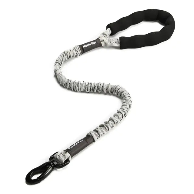 SPS BouncePaw Comfort Leash