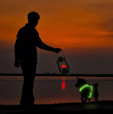 SPS GlowPaws LED Dog Harness