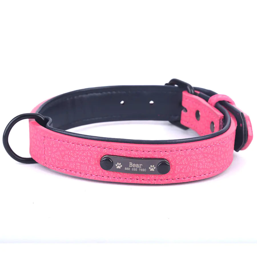 SPS Custom Engraved Leather Dog Collar
