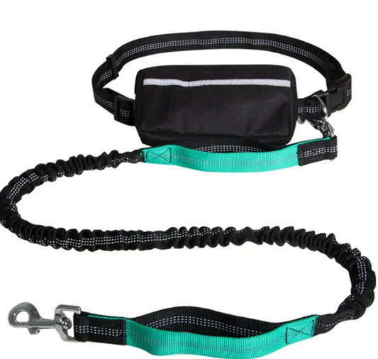 SPS NightStride Hands-Free Leash