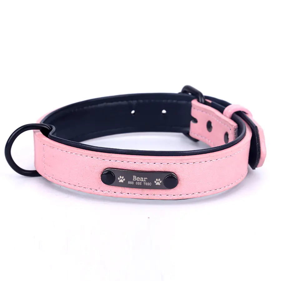 SPS Custom Engraved Leather Dog Collar