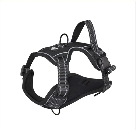 SPS GlowGuard Reflective Dog Harness