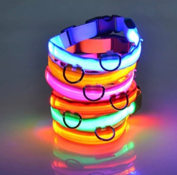 SPS GlowGuard LED Adjustable Dog Collar