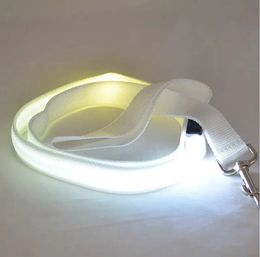 SPS LED Glowing Dog Leash