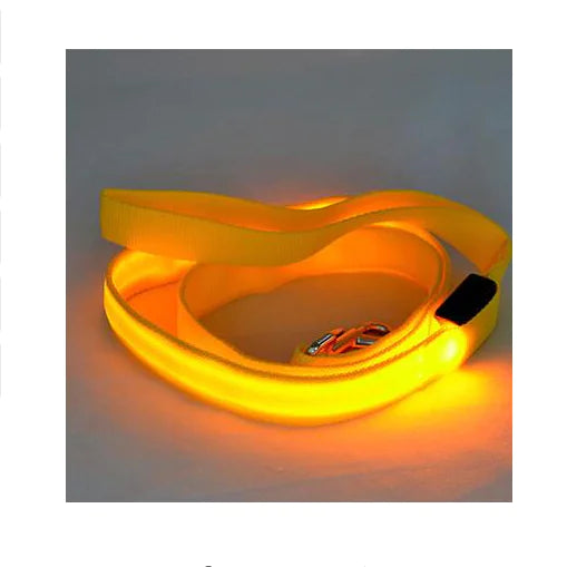SPS BrightPaw LED Dog Leash