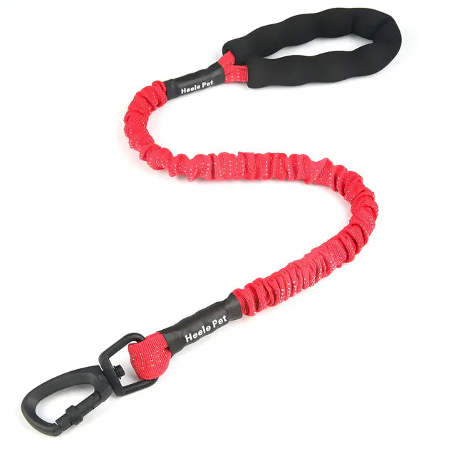 SPS BouncePaw Comfort Leash