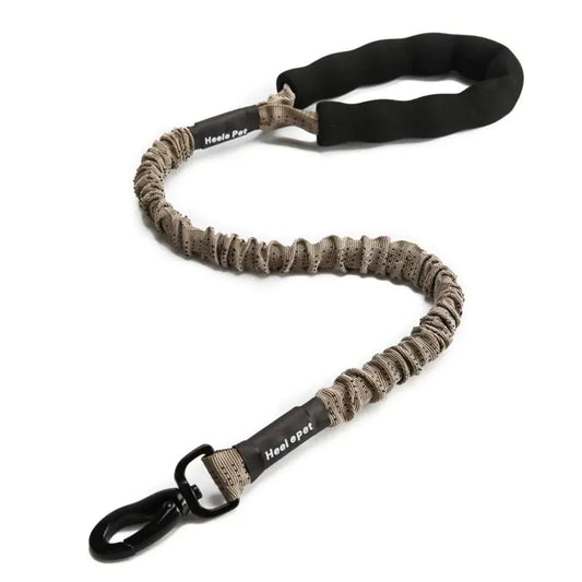 SPS BouncePaw Comfort Leash