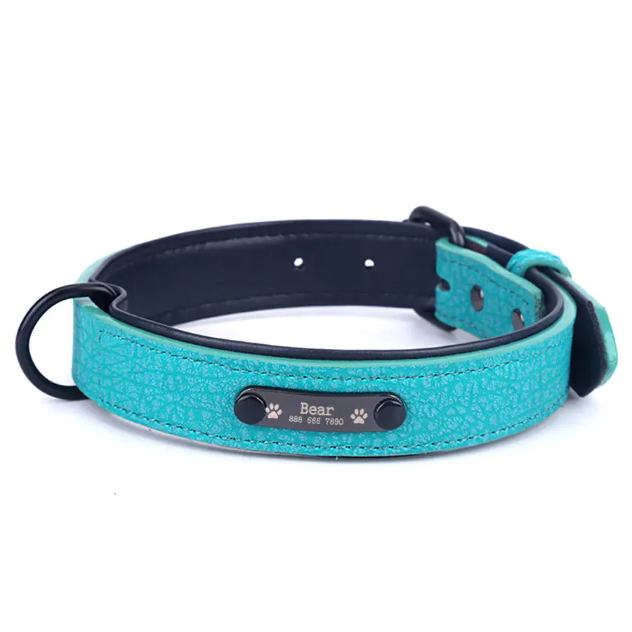 SPS Custom Engraved Leather Dog Collar